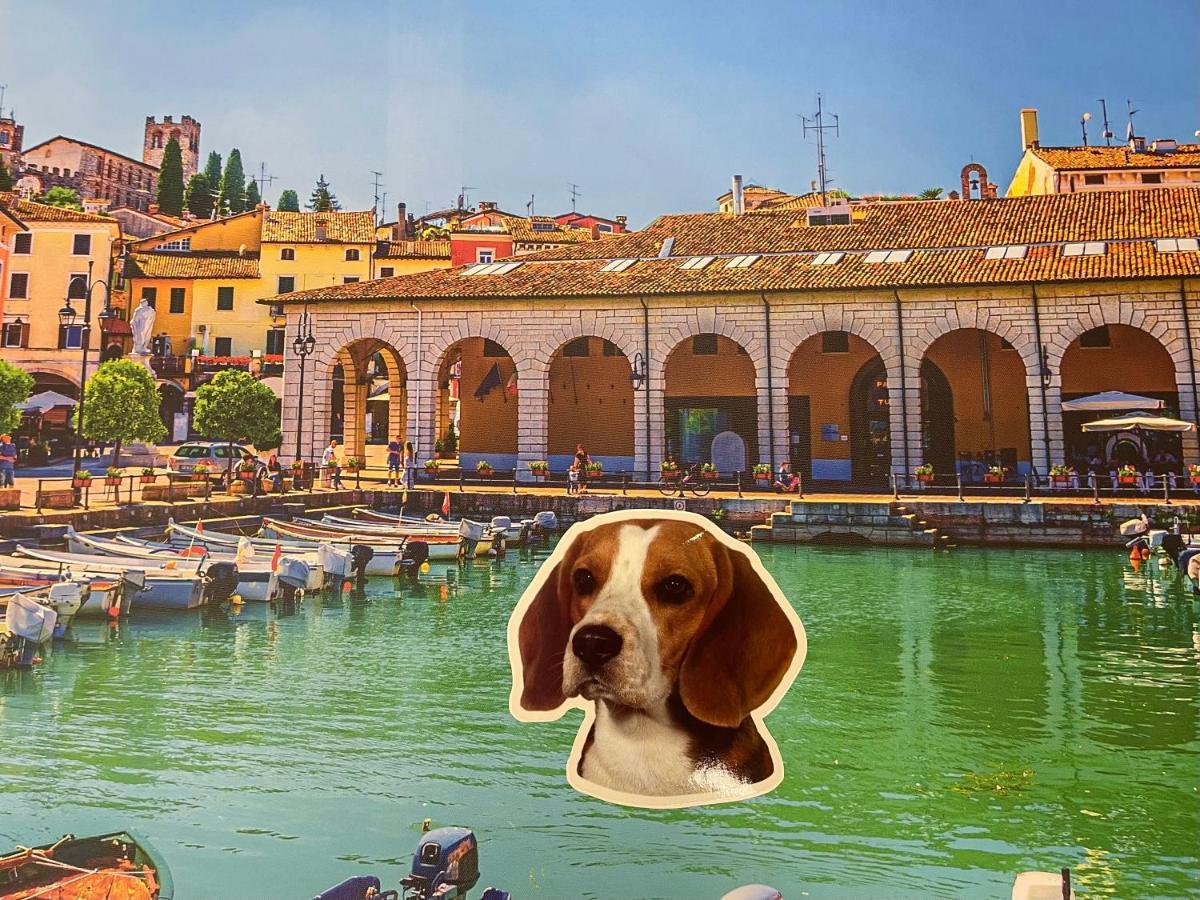Ciao Desenzanoloft Appartamento Desenzano del Garda